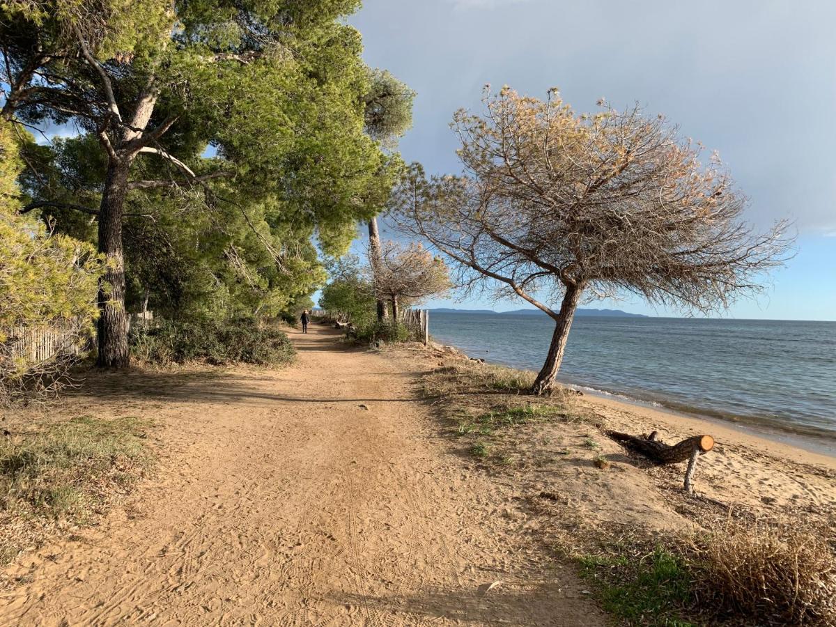 T2 Climatise A L'Ile D'Or Avec Piscine Pres De La Plage La Londe-les-Maures Bagian luar foto